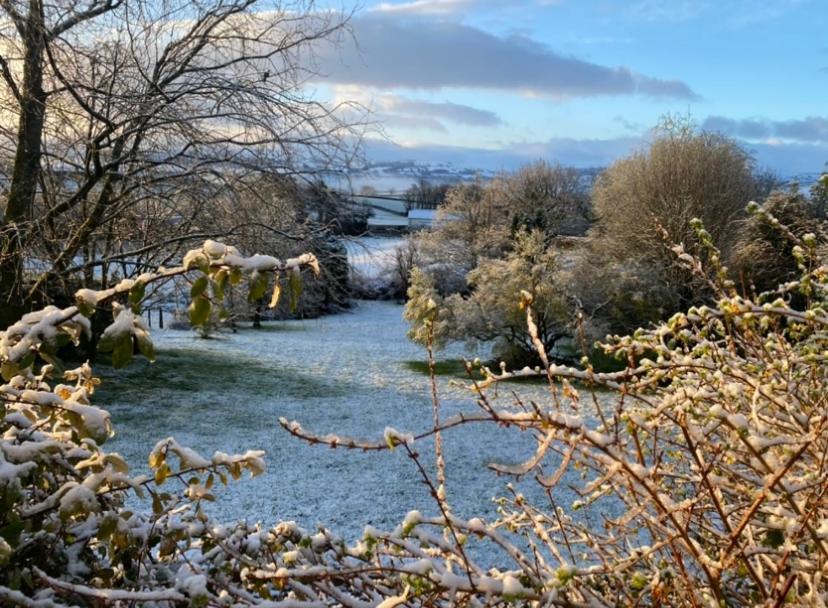 Pippin Lodge Llanwrda Buitenkant foto