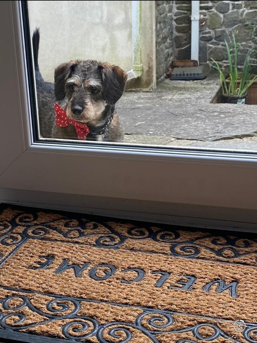 Pippin Lodge Llanwrda Buitenkant foto