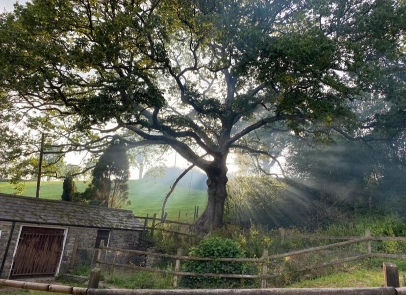 Pippin Lodge Llanwrda Buitenkant foto