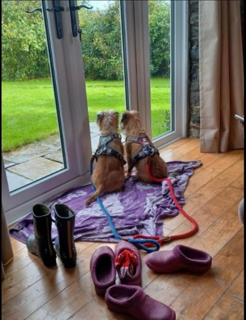 Pippin Lodge Llanwrda Buitenkant foto
