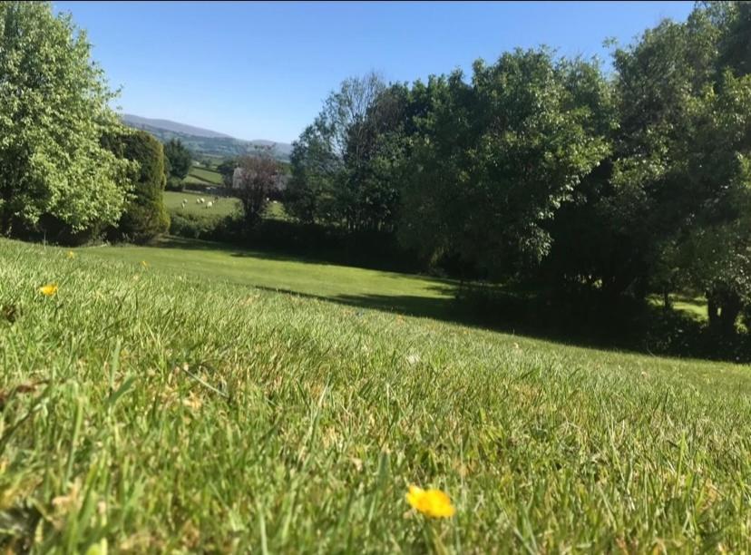 Pippin Lodge Llanwrda Buitenkant foto